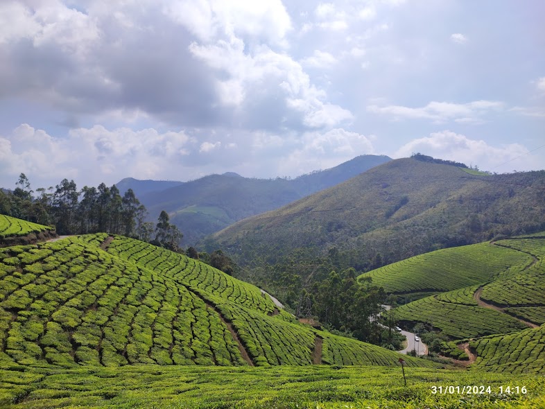 eravikulam national park tour